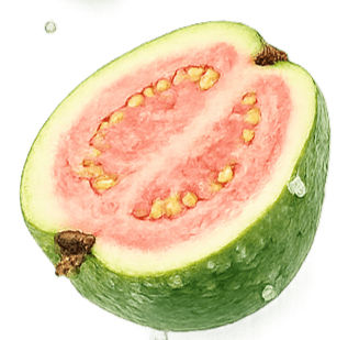 Guava